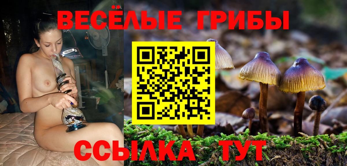 Галлюциногенные грибы Magic Shrooms  купить наркотики цена  Азов  Галлюциногенные грибы MAGIC MUSHROOMS  Вход с VPN 